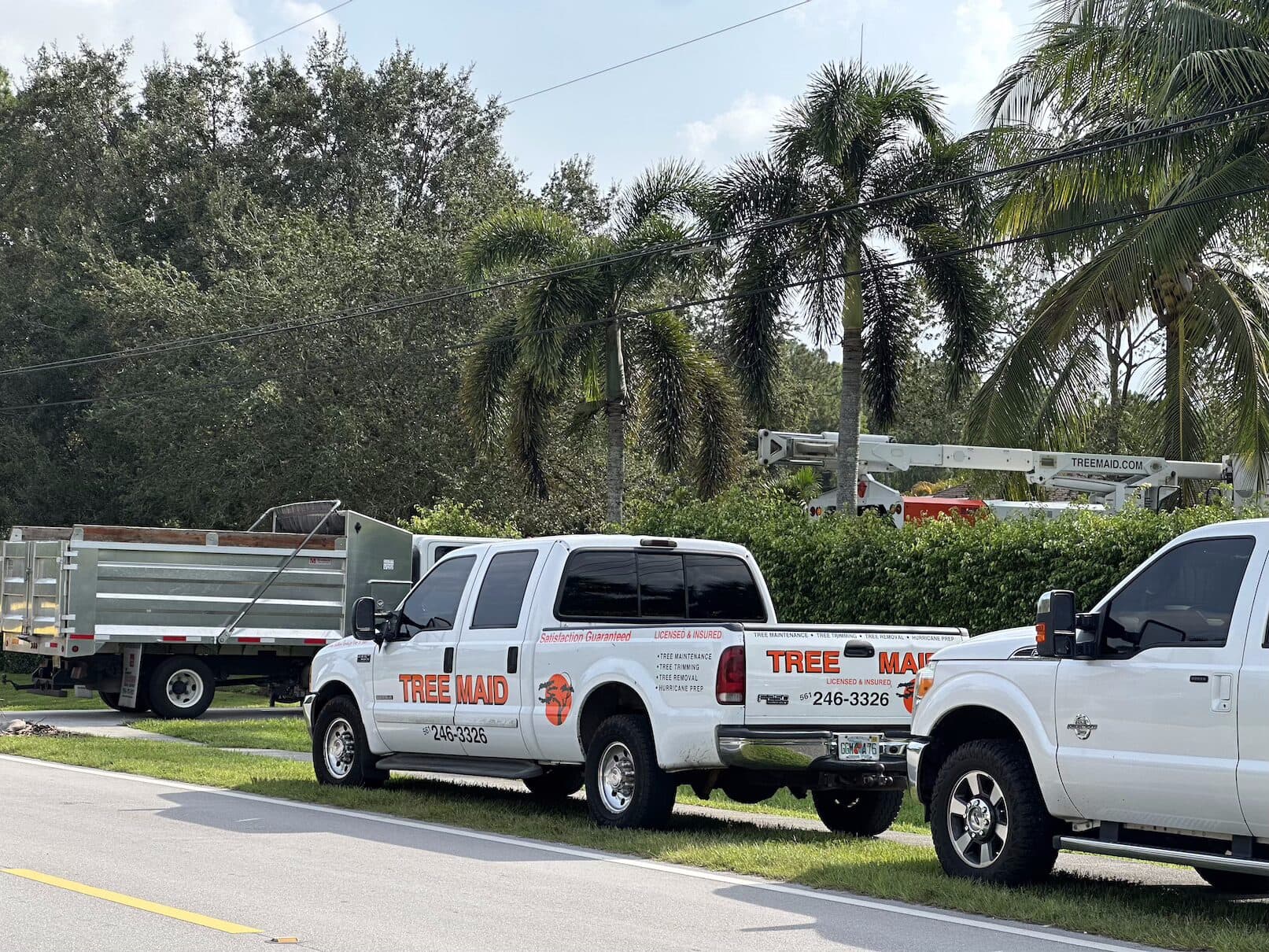 Florida Hurricane Tree Services - Storm Preparation & Damage Prevention | Expert Tree Services, Palm Trimming, & Tree Care in Lake Worth & Palm Beach County | Professional storm preparation protects your trees and property during hurricane season. Tree Maid's hurricane preparation services reduce storm damage risks throughout Palm Beach County. Tree Service https://www.treemaid.com Professional Tree Removal Boynton Beach and Tree Service Boynton Beach by Tree maid