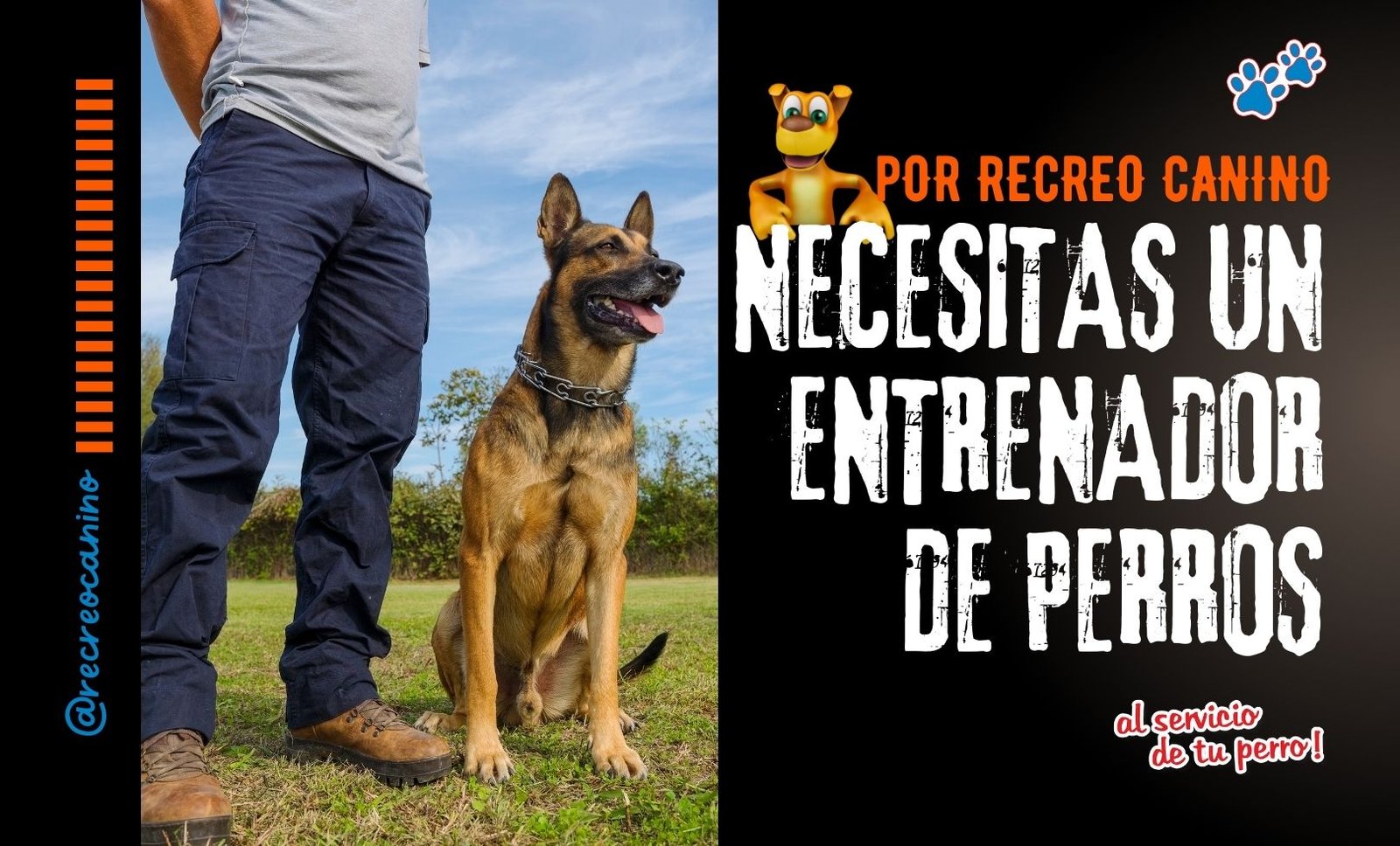 Necesitas un entrenador de perros por recreo canino mascotas, perros, juguetes para mascotas