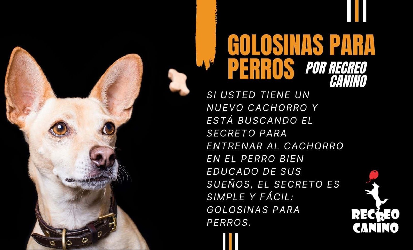 Golosinas para perros para entrenar a tus perros Para entrenar a los perros