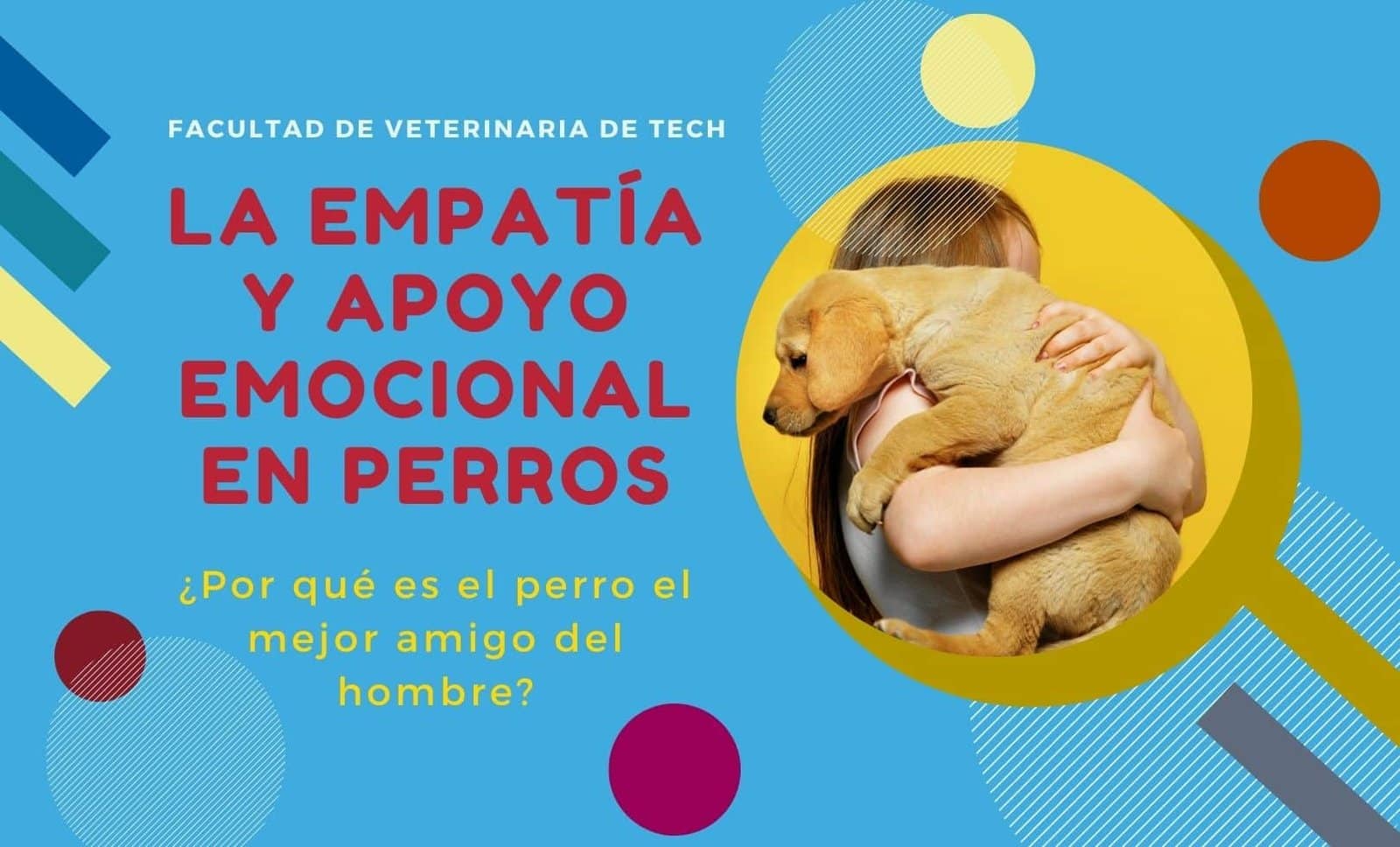 La empatía y apoyo emocional en perros tech uruguay universidad facultad de veterinaria de TECH