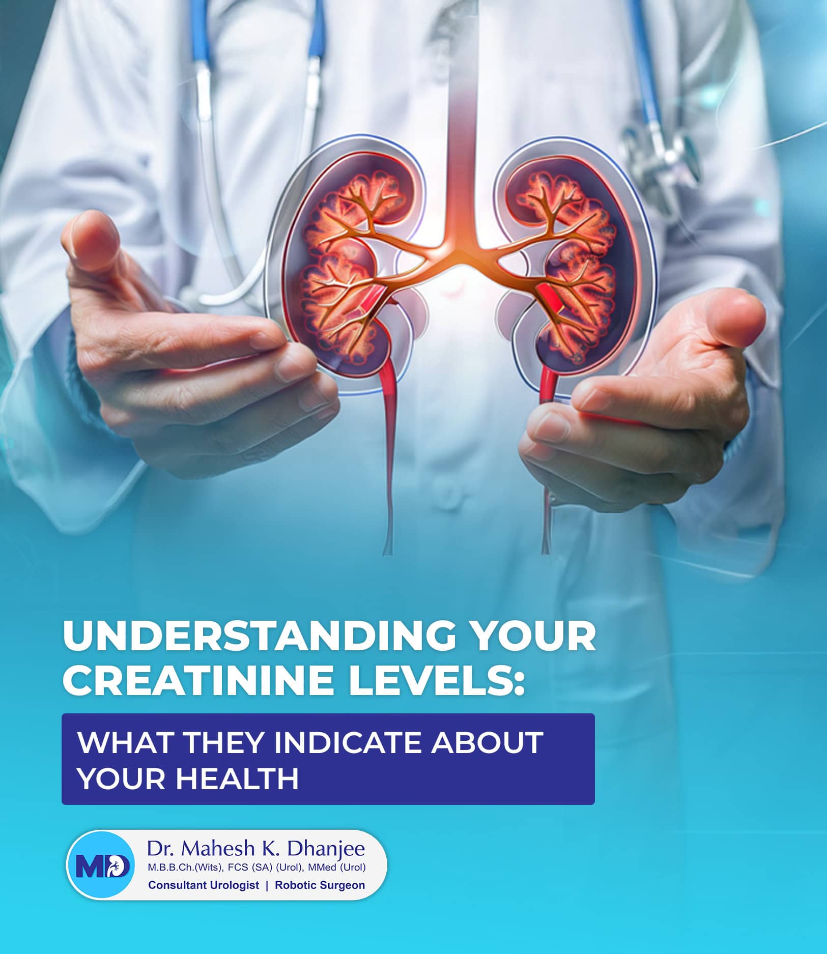 understanding creatine levels in kidney