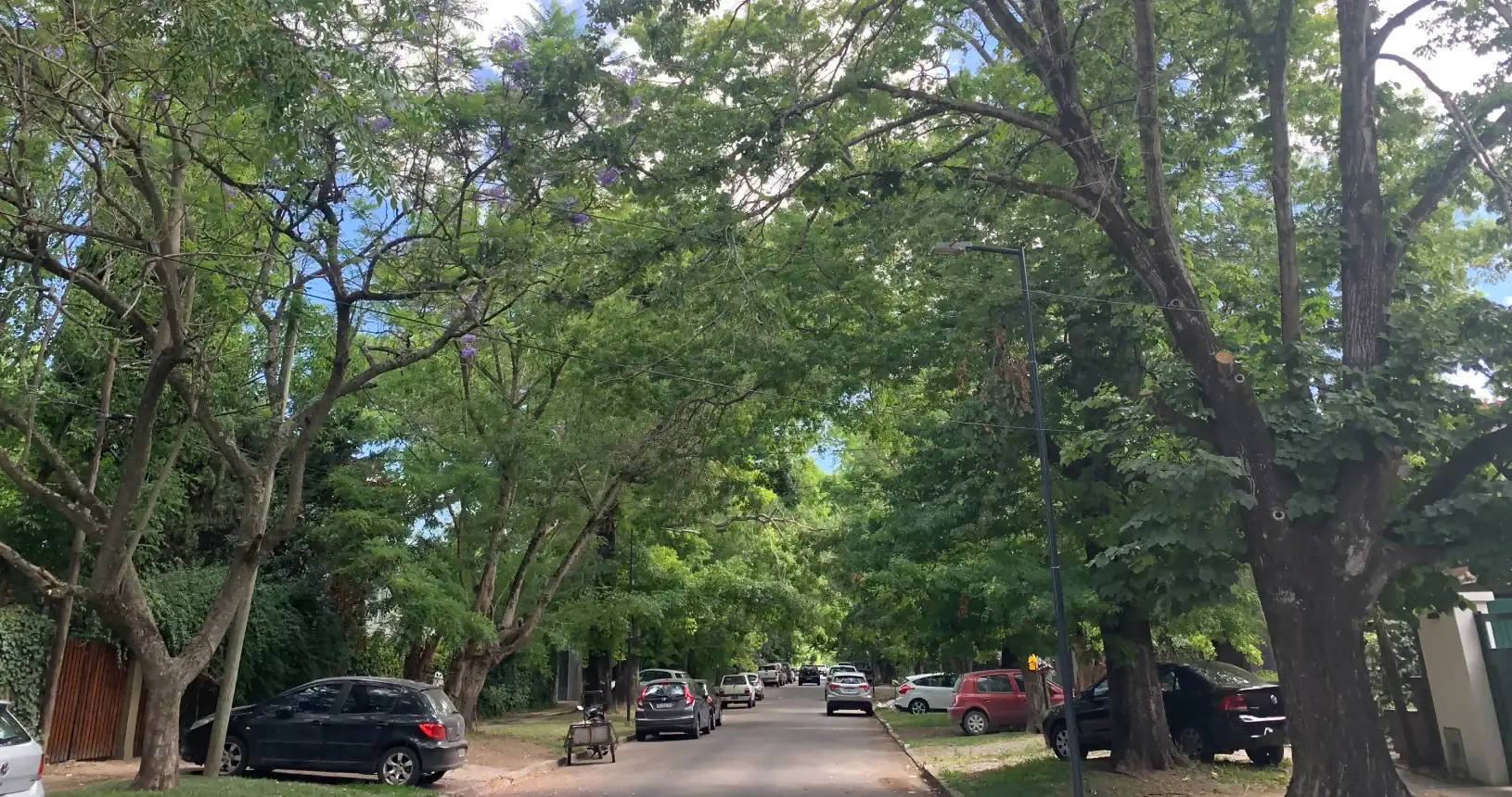 Calle Pellegrini City Bell