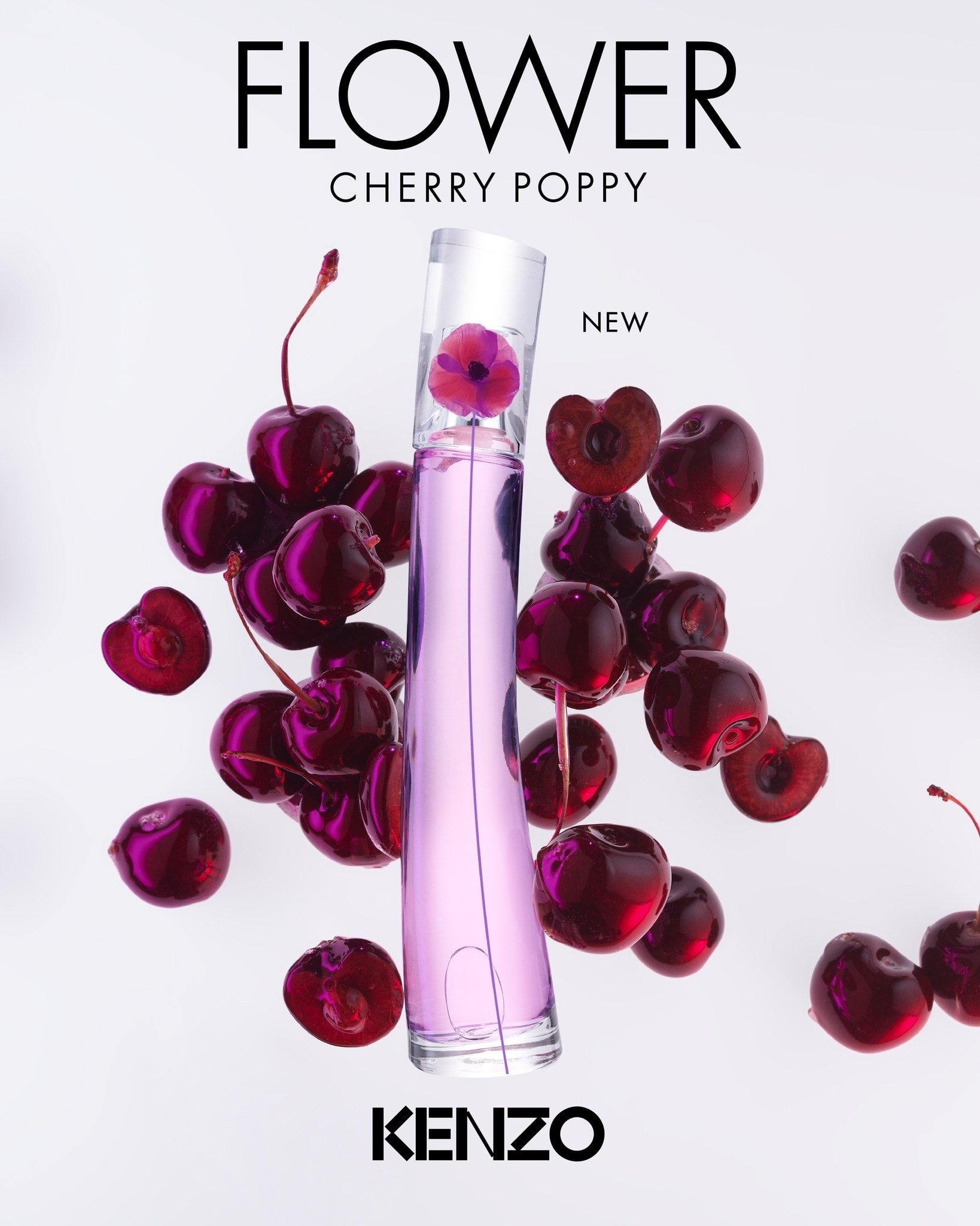 flower cherry poppy an authentic experience