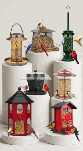 Best Cardinal Bird Feeder