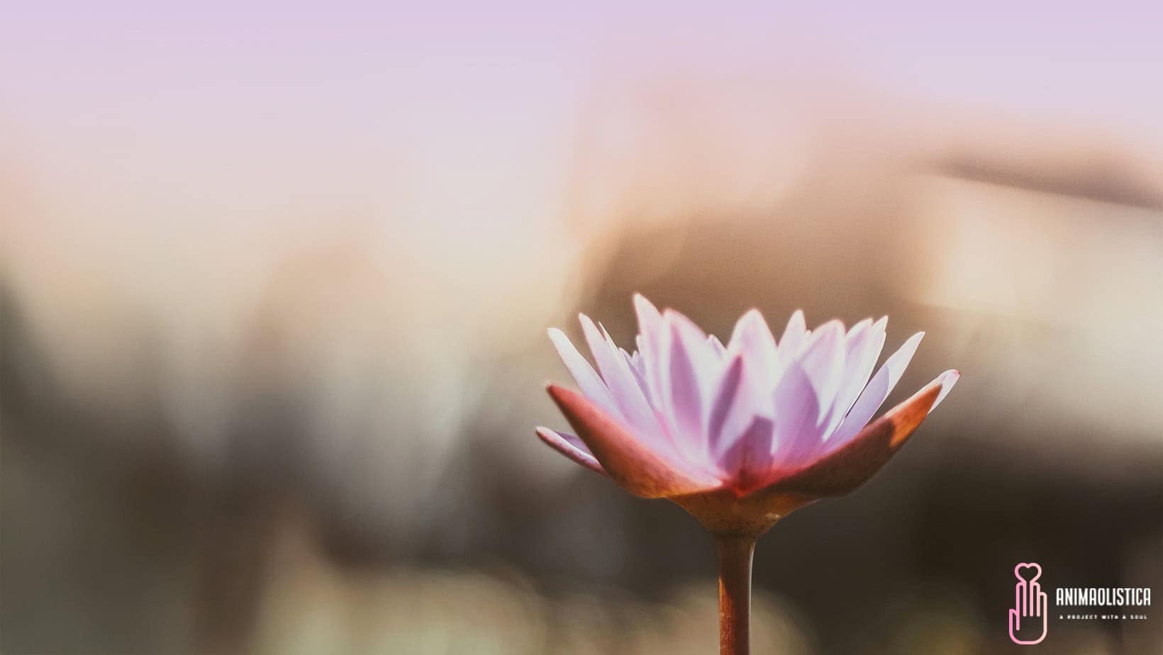 Giornata Tantrica Cogoleto 2025 - Fiorisci la tua Anima
