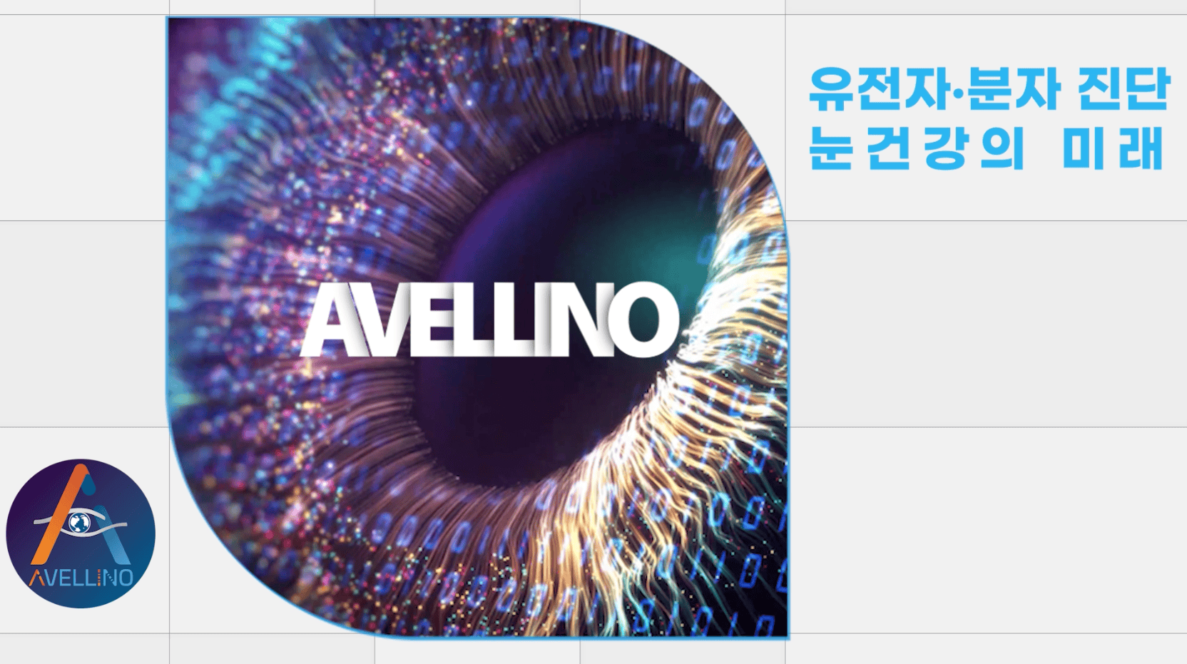 눈배경에 아벨리노 글자