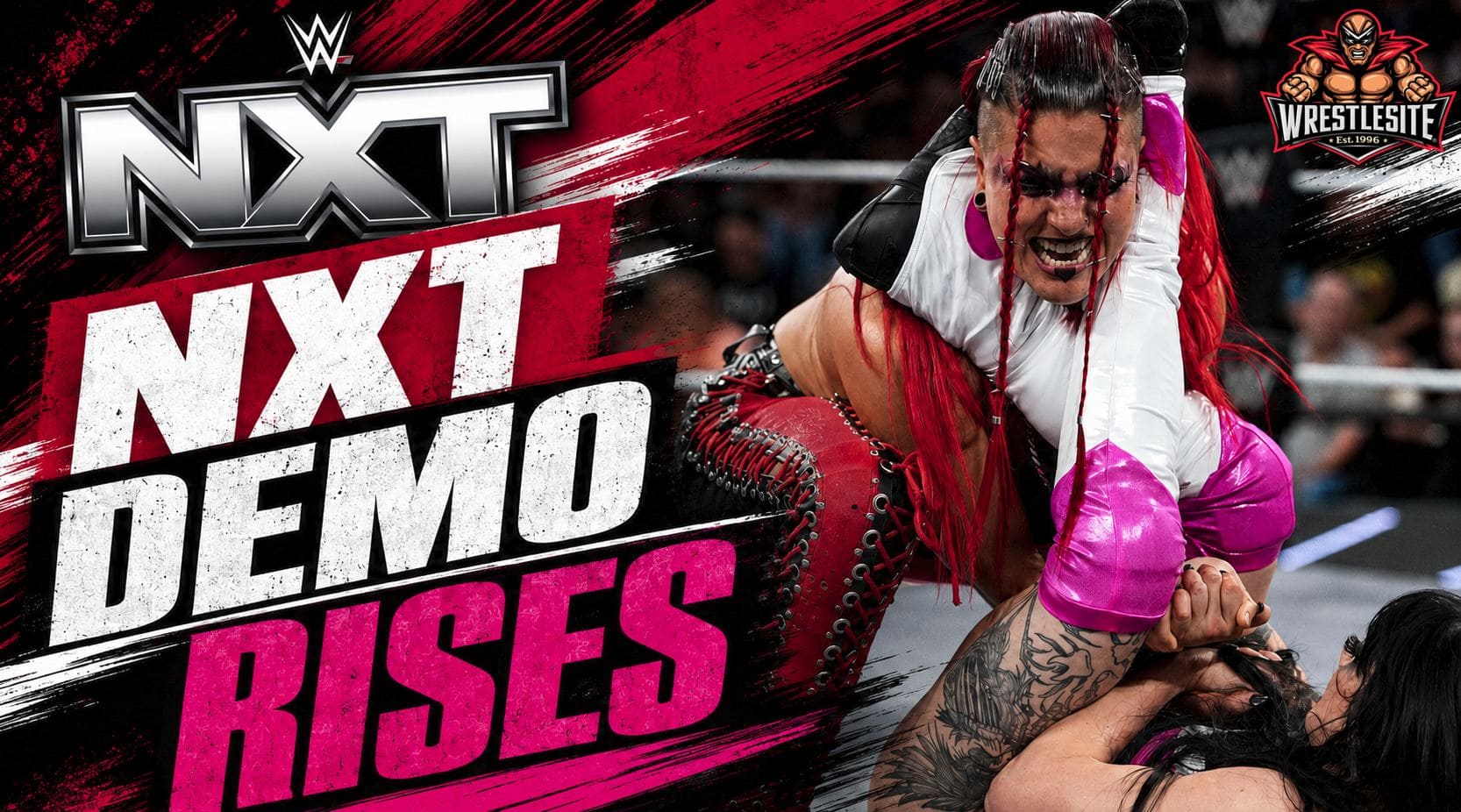 WWE NXT ratings report shows viewership dip and an increase in the 18-49 demo against the Stanley Cup Finals