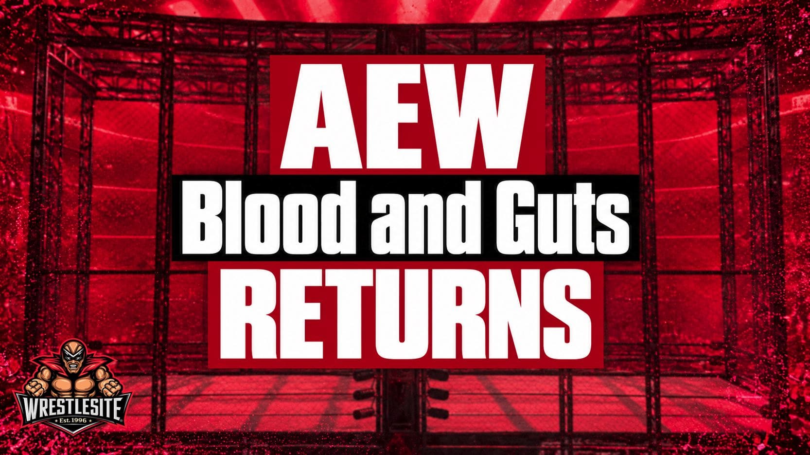 The AEW Blood and Guts double-ring steel cage ahead of the November 4 Dynamite special in Jacksonville