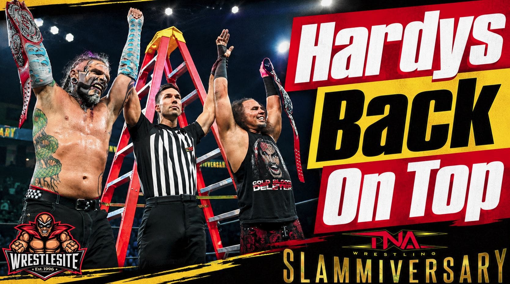 The Hardy Boyz, TNA Wrestling, Slammiversary, TNA Tag Team Titles, The System, The Righteous, Ladder Match
