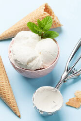 Vanilla Ice Cream