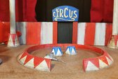 El Gran Circo de Pulgas Amaestradas - Exclusivo Tienda Trucos Magia (11)