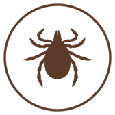 Antiparasitario