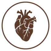 Cardiaco