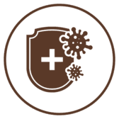 Sistema Inmune