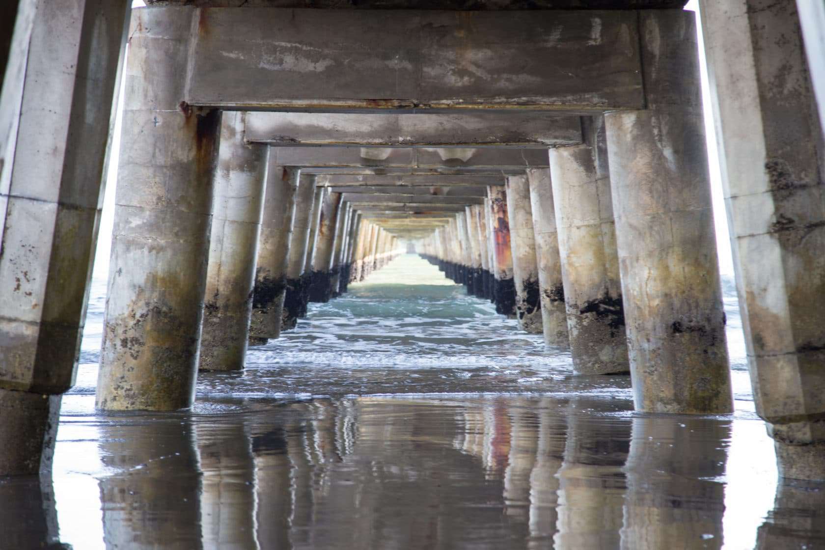 Tolaga Wharf | MARKHAM Marine Project