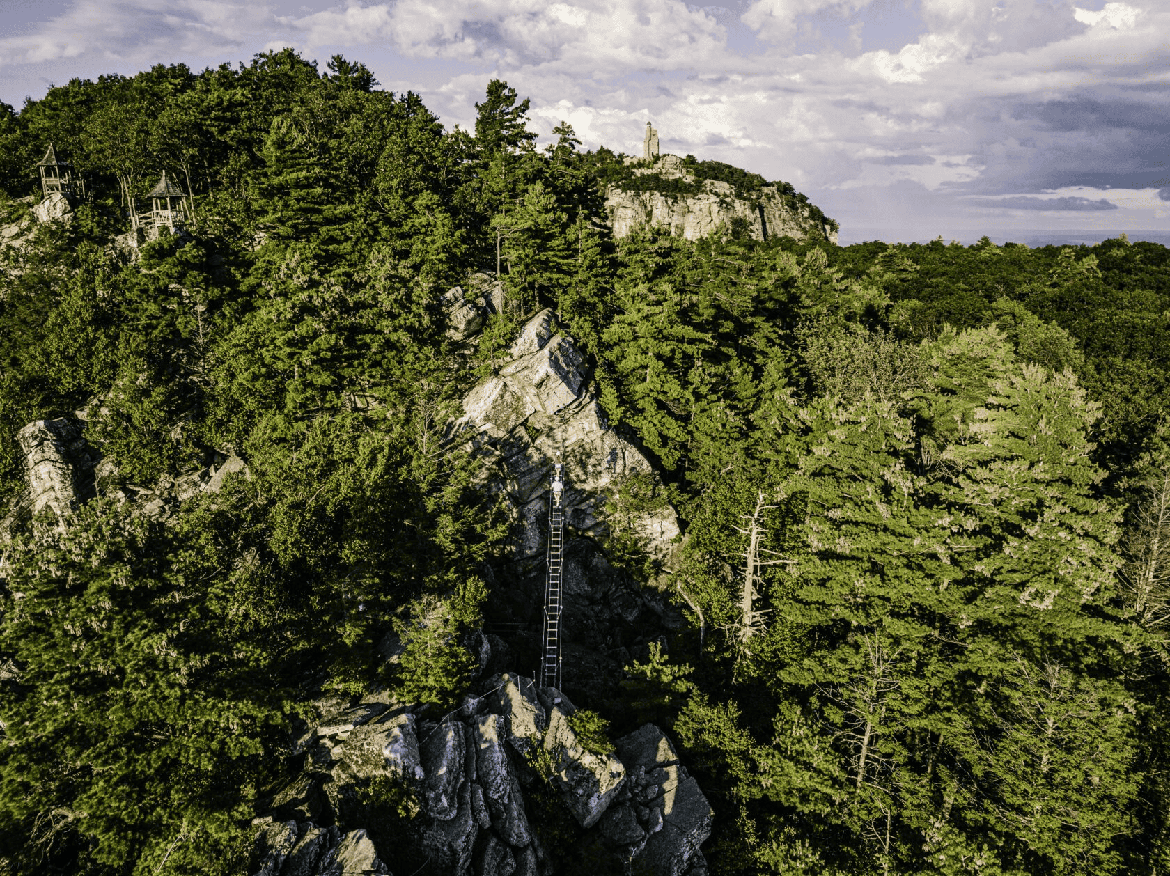 View of the Lush Forest Surrounding Our Victorian Castle Resort