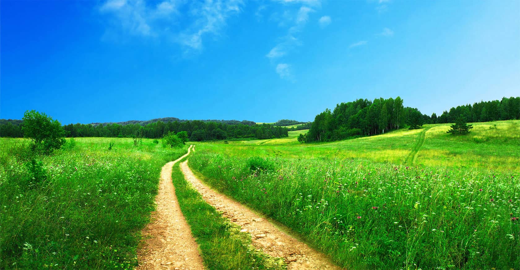 1765844-0-background-92