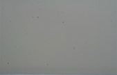 TAUD LASER 16 DESSUS - POLYESTER ENDUIT PVC 520G - Image 2