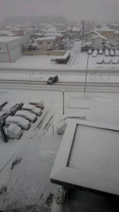 季節外れの雪 季節外れの雪