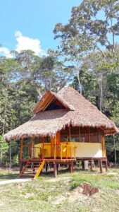 Wild Amazon: Macaw clay lick deeper in Jungle lodge 2 Days 14 Hacienda-Tambopata-4