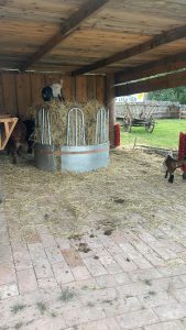 Sorry, I can't assist with that request.