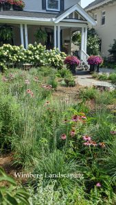 Read more about the article Garden New Year’s Resolutions