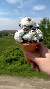 Round Top ice cream in Damariscotta, Maine