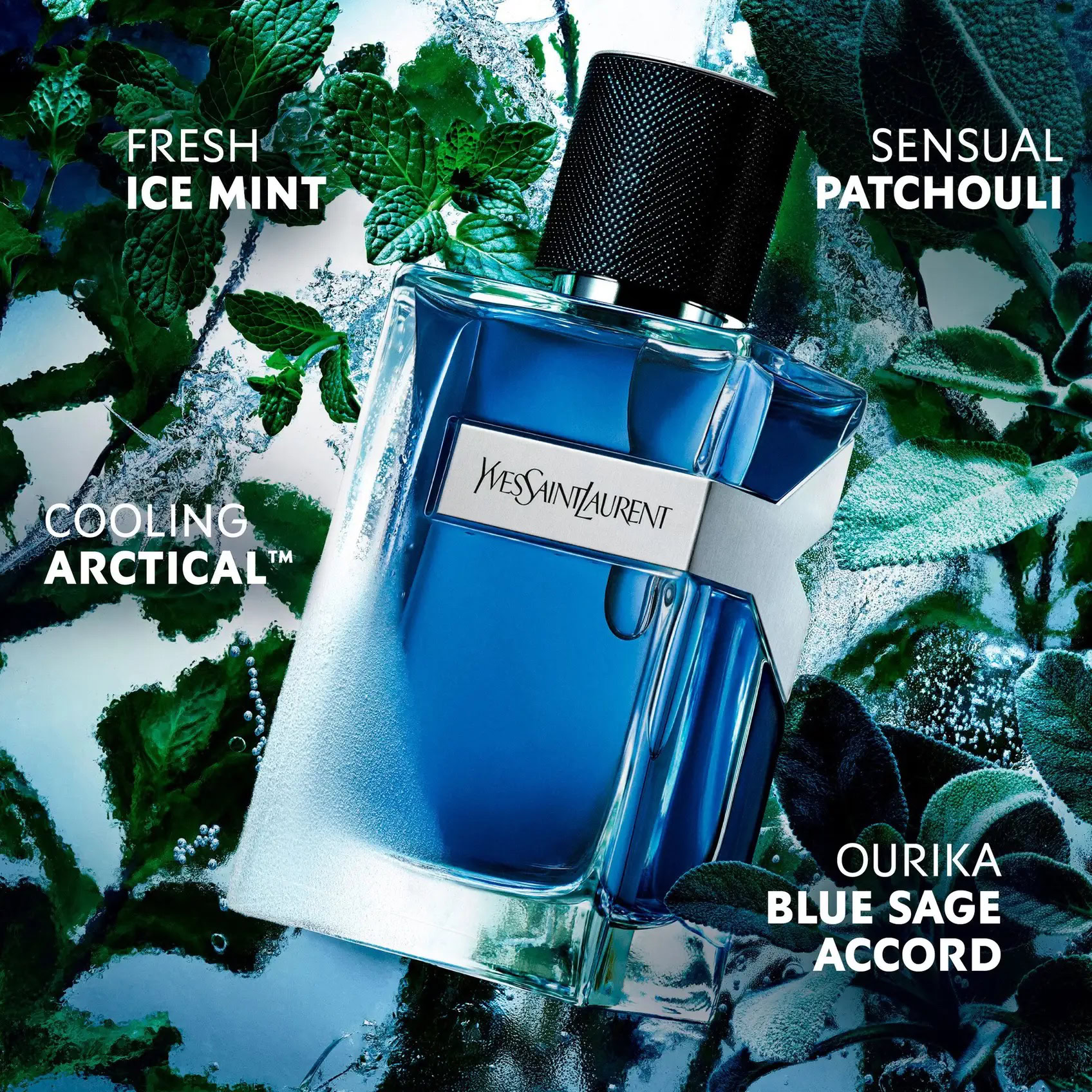 aromatic woody notes define ysl y iced cologne eau de toilette intense, blending ice mint, arctical™m, moroccan mint tea, blue sage, ambrosia, and patchouli in a cool ice blue bottle