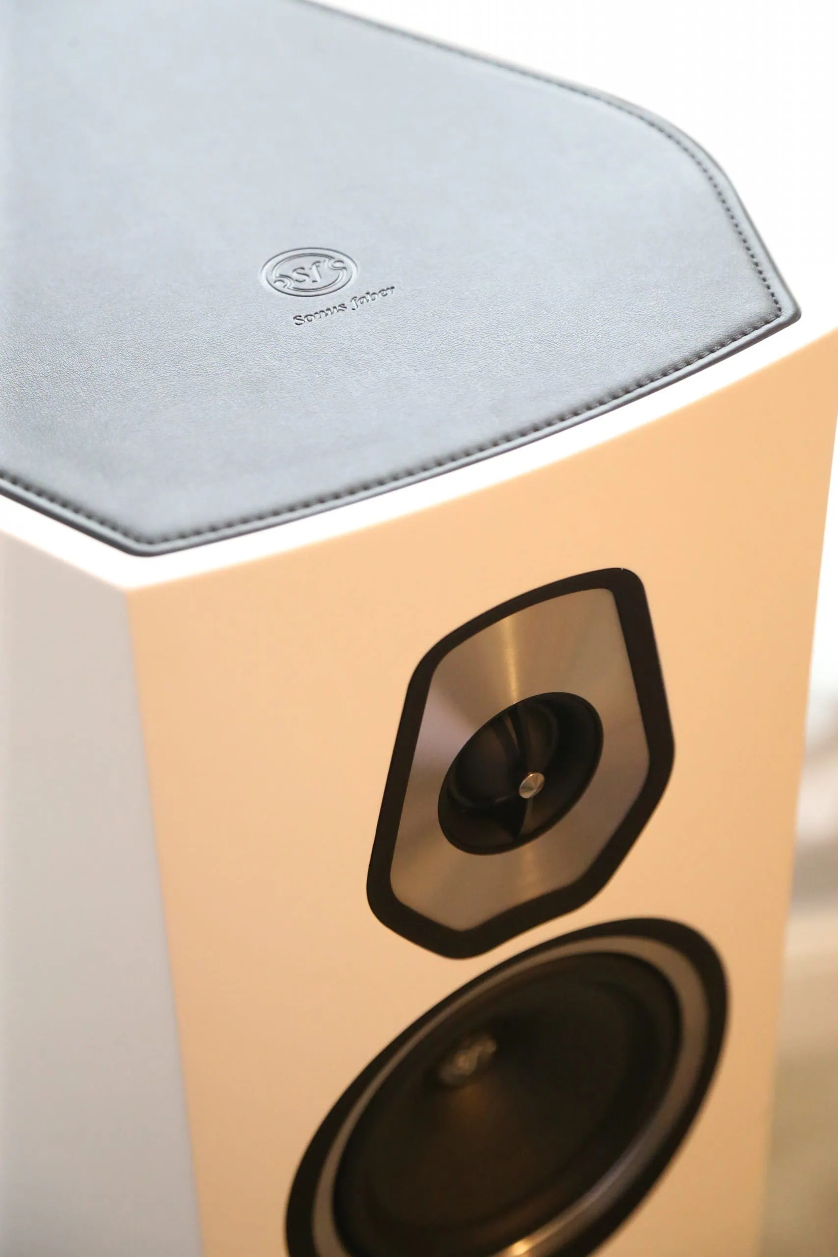 sonetto v