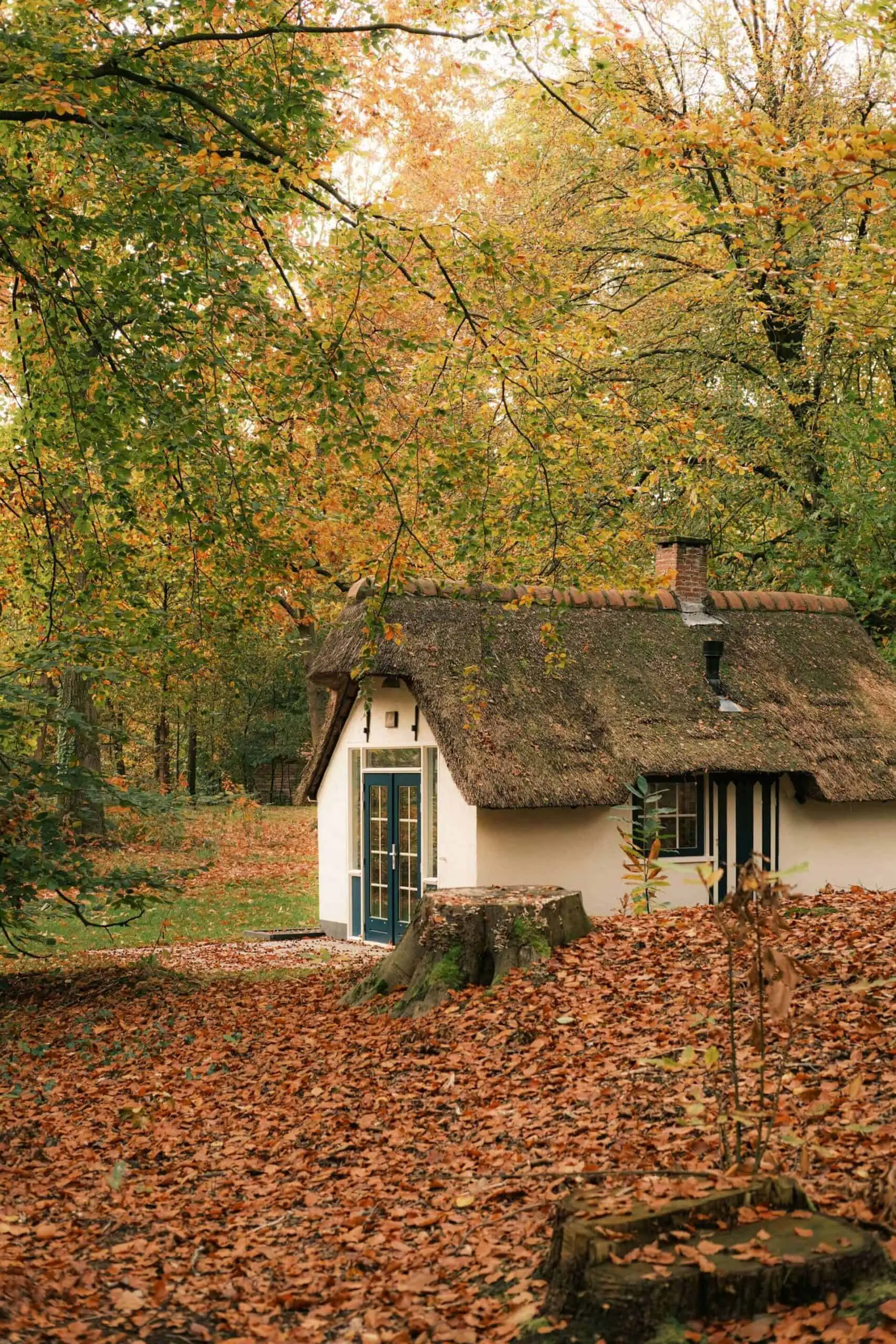 Autumn Maintenance Issues You May Experience The Country