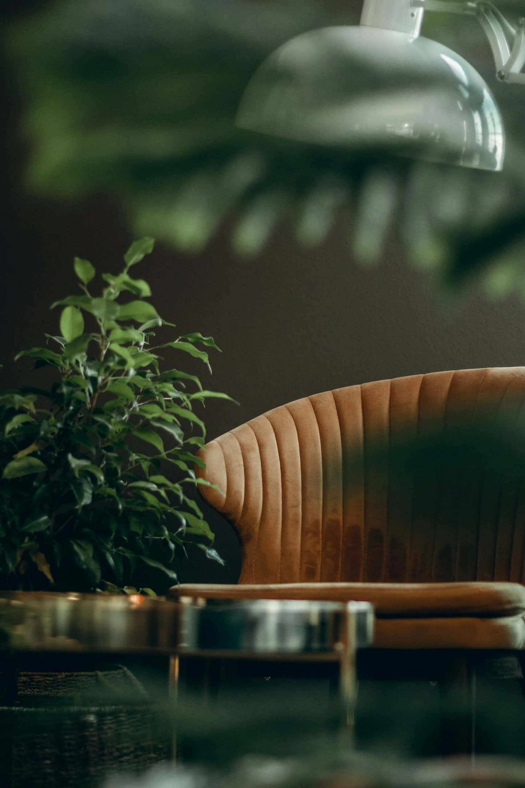Webster Green: Benjamin Moore Colour of the Year 2027 (and How to Use It at Home)
