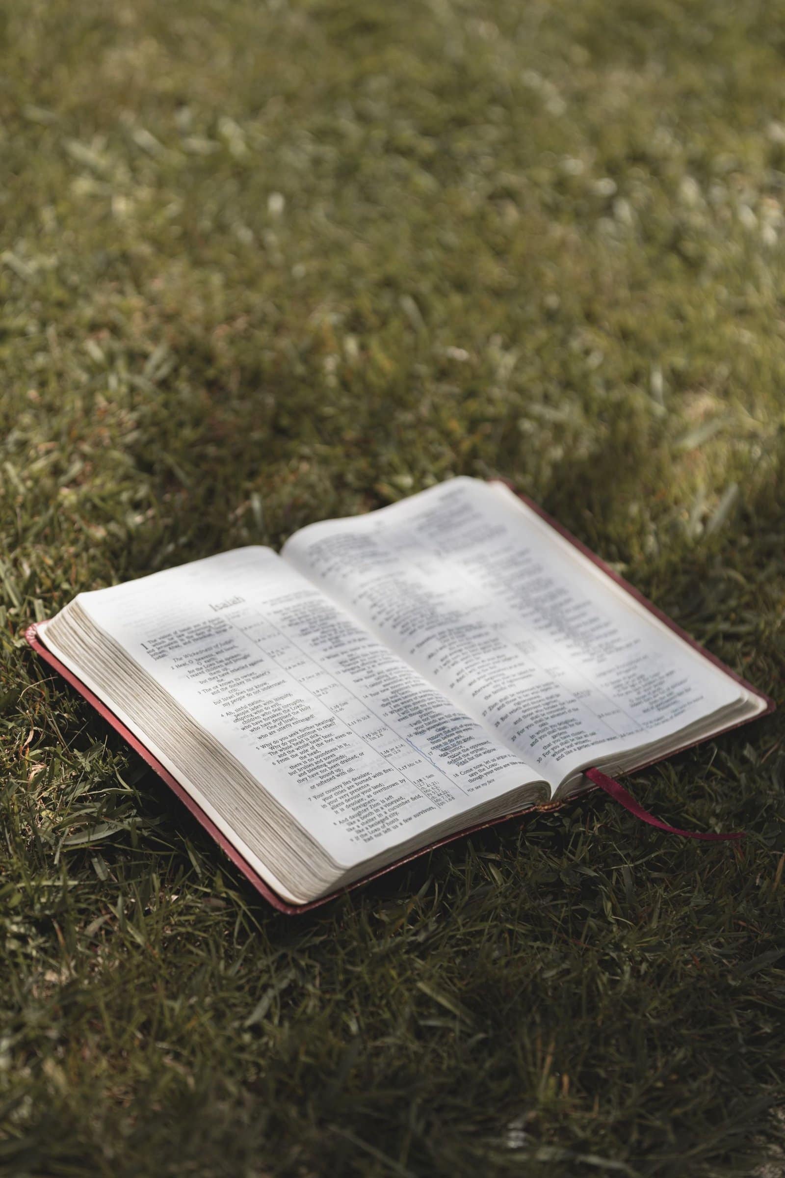 Is the Bible misogynistic? A close-up of an open Bible resting on a sunlit grass field, offering a serene outdoor setting.
