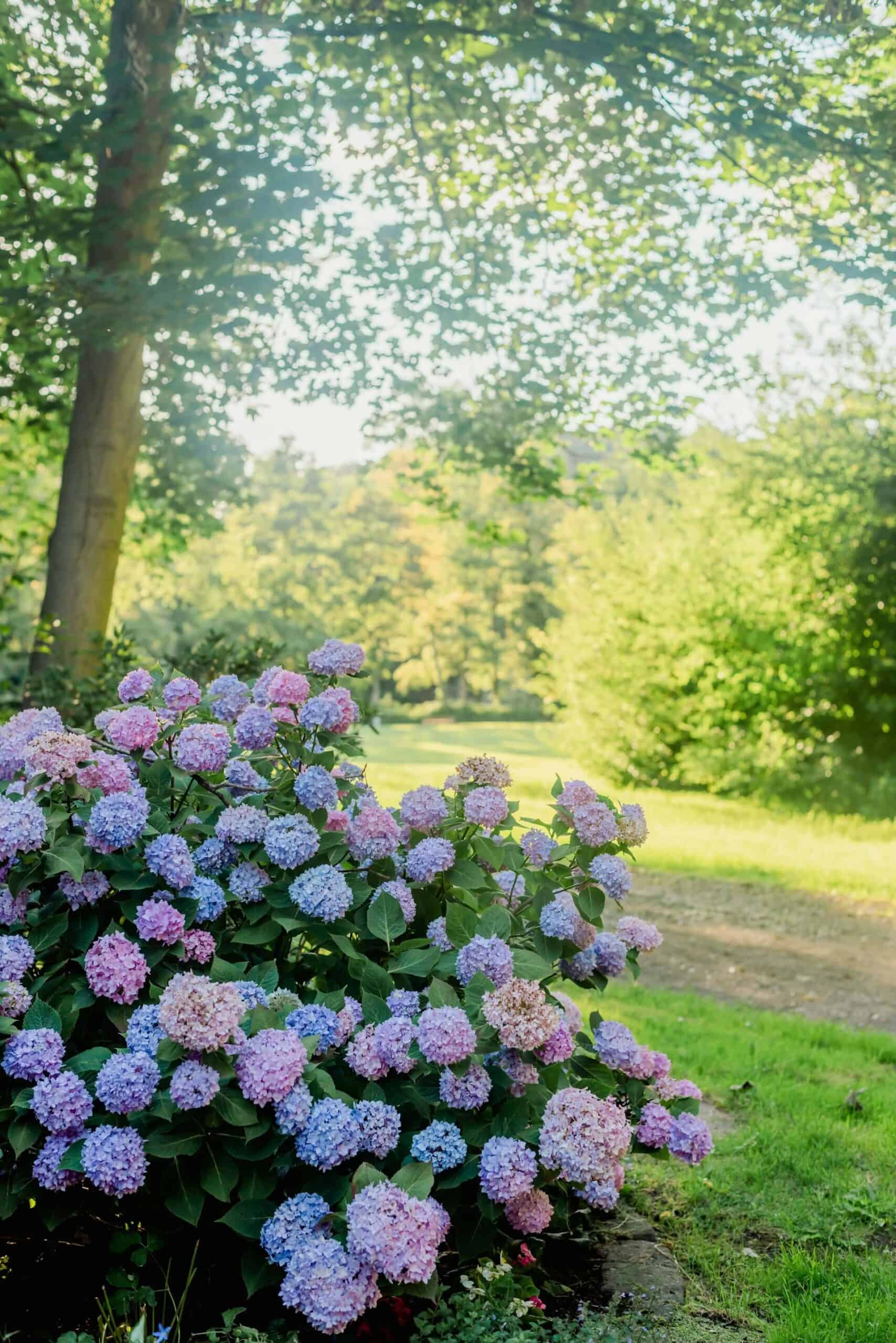 Keeping Your Country Garden Safe