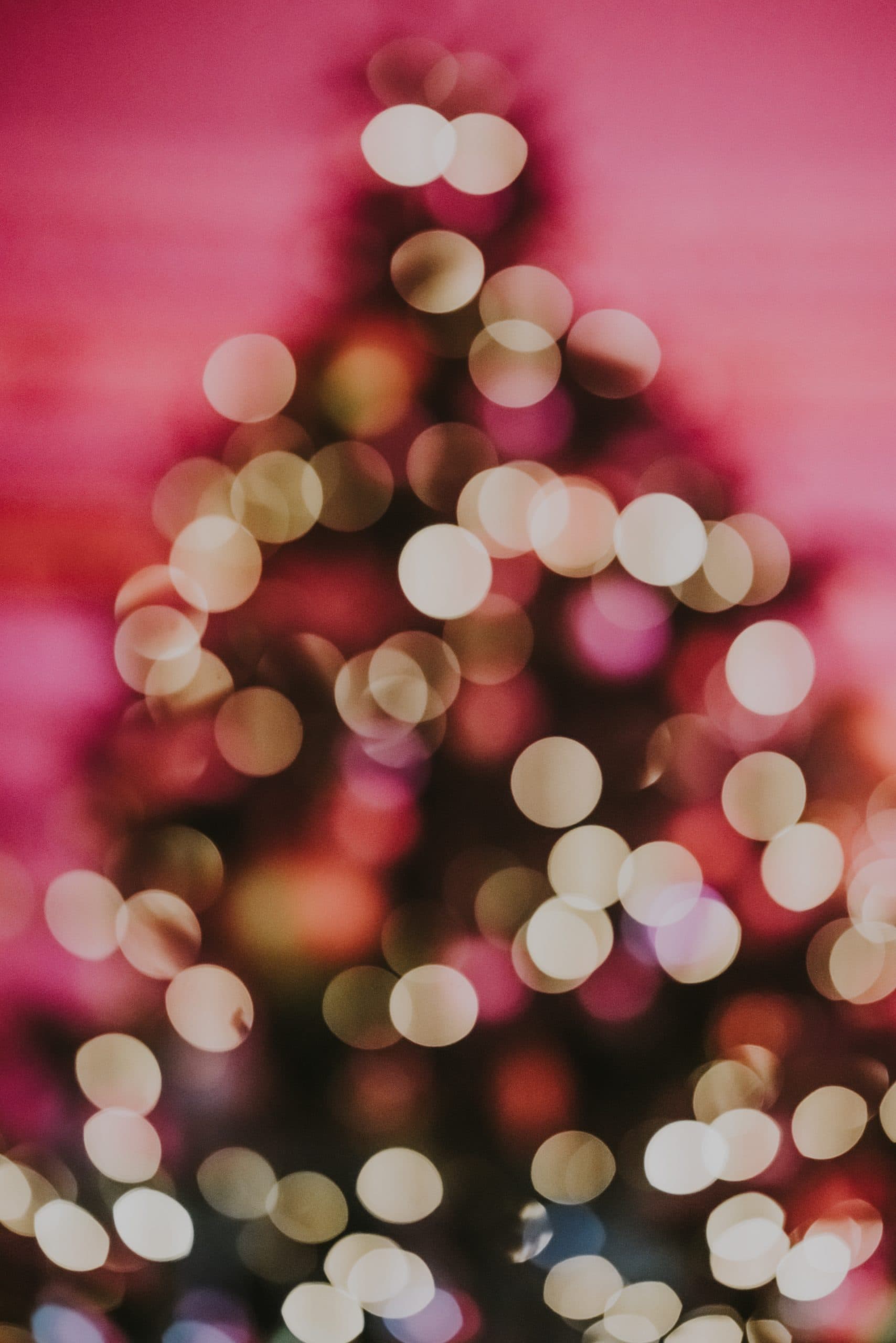 veilige kerstboom