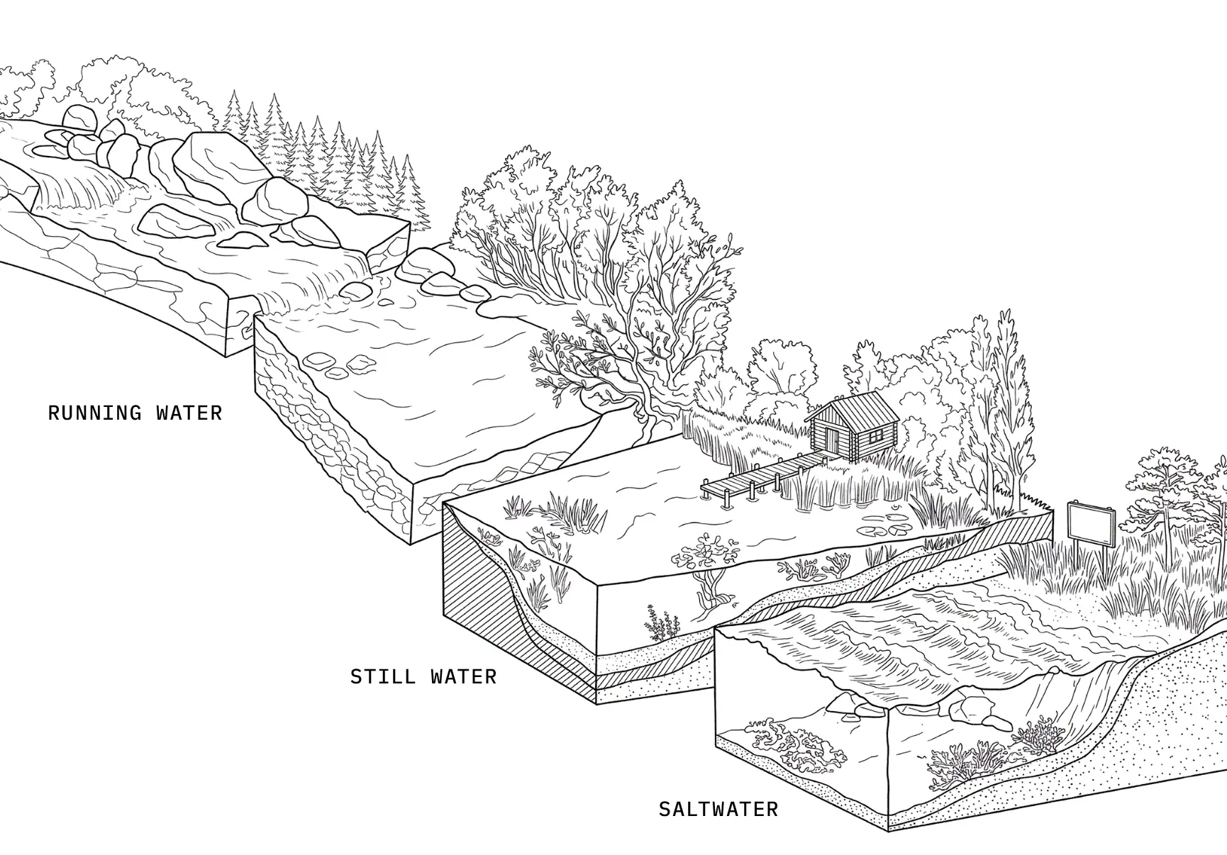 A black-and-white cross-section diagram showing the path of water from a mountain waterfall through a river and marsh with a small cabin, down to the coast.