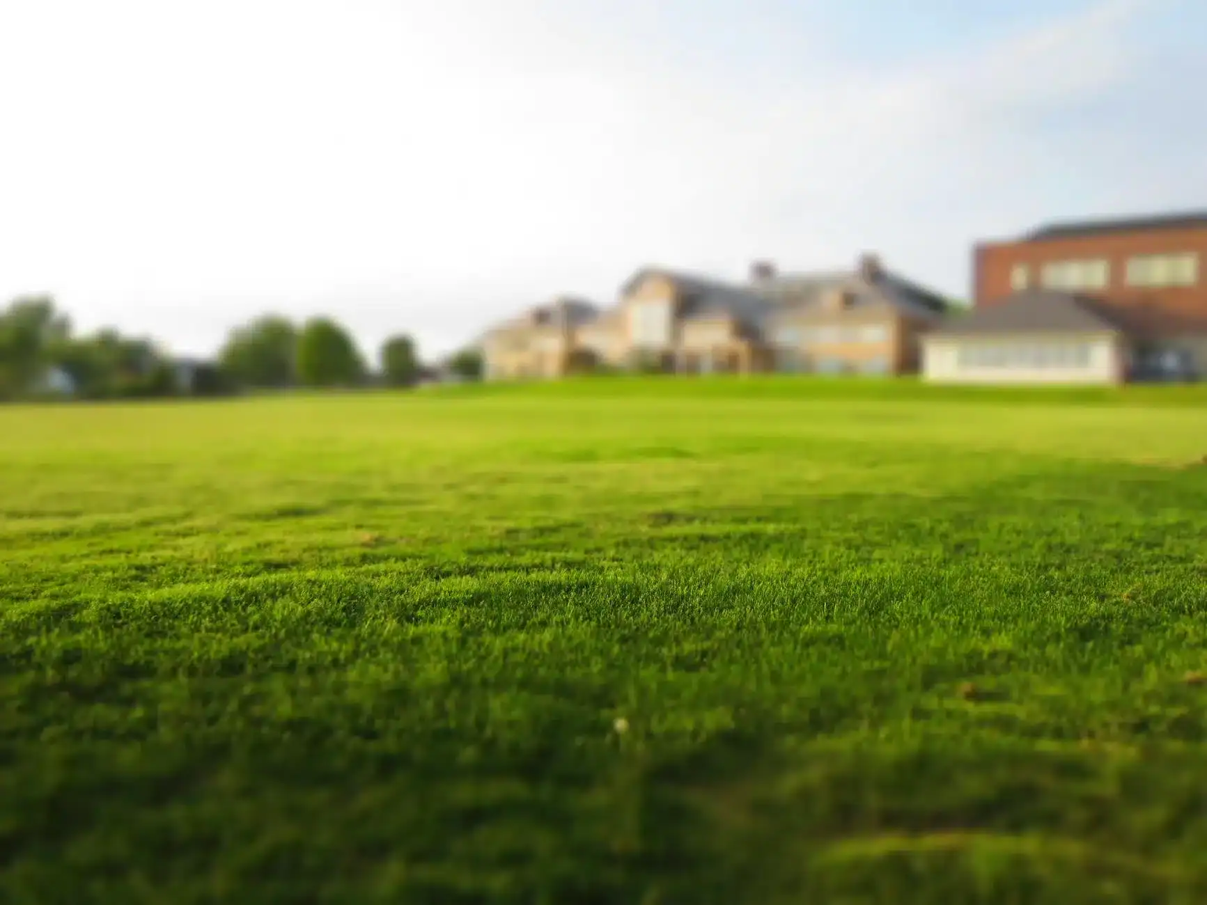 2027香港戶外草地證婚|21 大熱門婚宴草地推介 17 green grass
