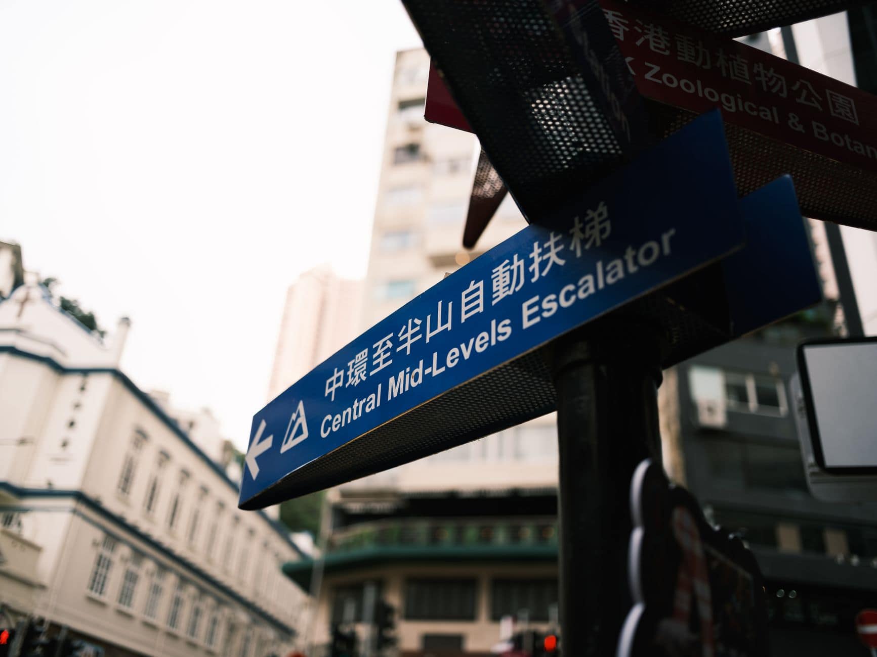 Hong Kong Travel Guide: What to Know Before You Go in 2026