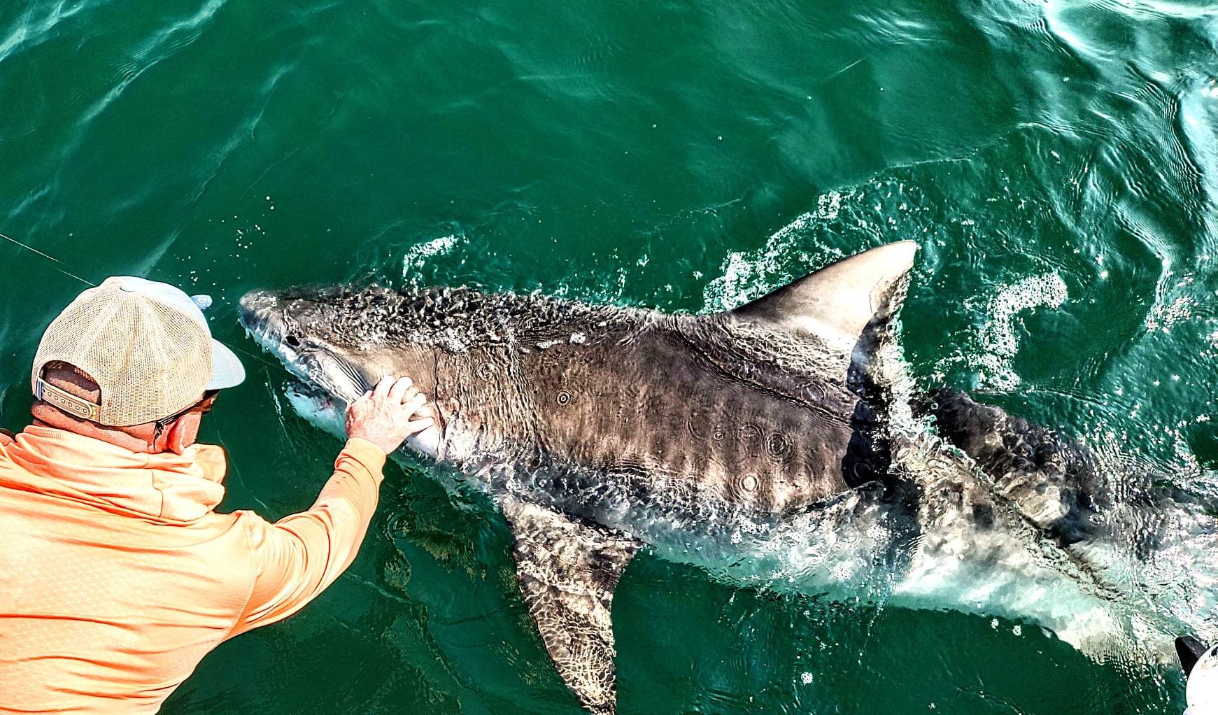 bow fishing in florida