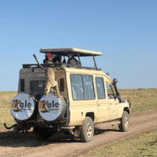 Tanzania Safari Package