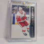 Lucas Raymond Jeunes Loups