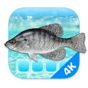 Aquarium 4K – Live Wallpaper 1.1.0