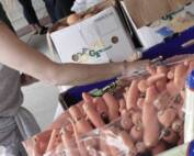 feature image clinic3