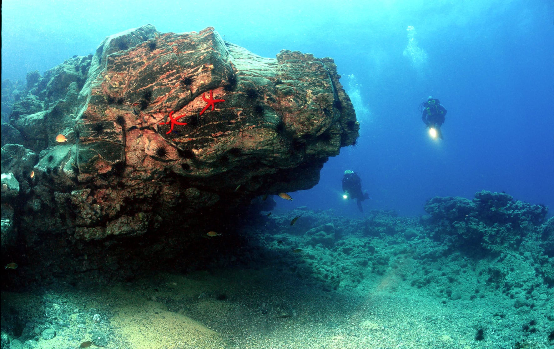 Deep Blue Diving Fuerteventura
