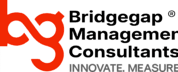 The Bridgegap Consultants