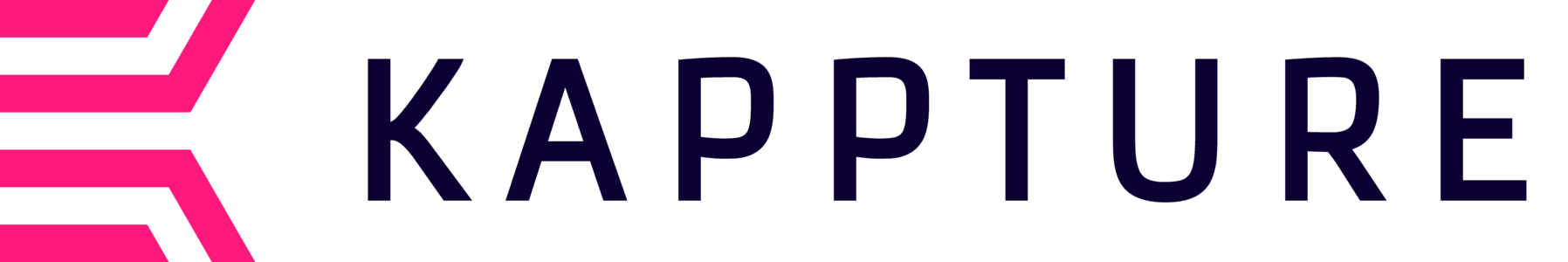 Kappture POS