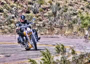 me-on-the-road-from-oatman-copy