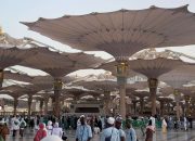 Jemaah Kosongkan Madinah, Simak Pelayanan Sektor Khusus Nabawi