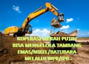 Menurut UU Minerba Koperasi Harus Berbadan Hukum Usaha Tambang