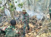 Angin Kencang Tak Surutkan Koramil Galela Jinakkan Karhutla di Seki