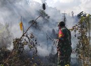 Terpencil dan Sulit Dijangkau, Babinsa Sabaleh Bersama Warga Jinakkan Api